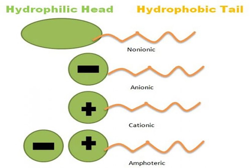 Surfactant charge types diagram