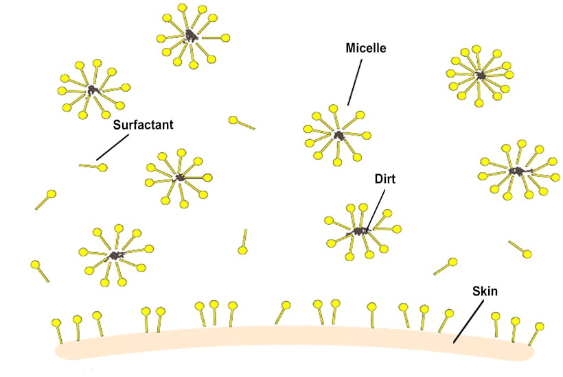 How surfactants work — micelle diagram